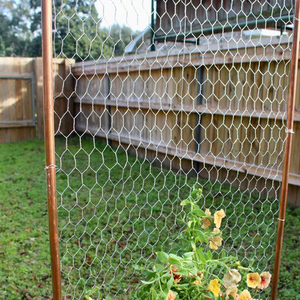 1/2&quot; <strong>Hexagonal</strong> Woven <strong>Mesh</strong> <strong>Wire</strong> Galvanized <strong>Wire</strong> <strong>Mesh</strong> Fence Net <strong>Hexagonal</strong> <strong>Wire</strong> <strong>Mesh</strong> for Panel Fence