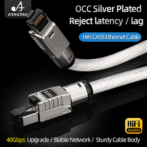 ATAUDIO High Speed OCC Silver-Plated Cat 8 Ethernet Cable 40 Gbps Double Shielded Network Cable for RJ45 for Router Camera - Product Image 3