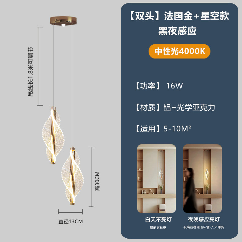 หัวคู่-ดาวทองฝรั่งเศส-ไฟเหนี่ยวนำกลางคืน-แสงวอร์ม 3000k