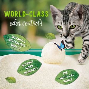 Thân Thiện Với Môi Tái Sử Dụng Bằng Gỗ Mèo Làm Từ Vỏ Sắn Và Sắn 2.4Kg - Product Image 5