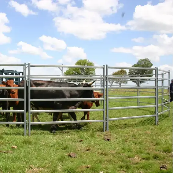 Allevamento di bestiame animale a buon mercato mucca recinzione ferroviario/recinzione metallica del bestiame ovino recinzione