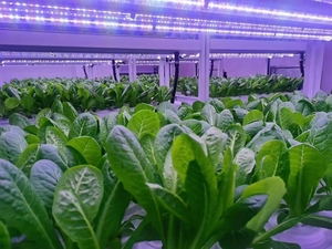 一解决方案智能控制40英尺集装箱农场种植室工厂 - Product Image 5