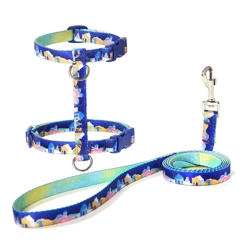 harness+leash blue
