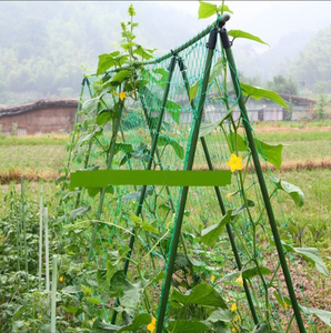 Fabrik 19mm Loch HDPE Kunststoff Anti-Vogel-Netz für Garten & Landwirtschaft Langlebiges Netz mit Schneid service Schutz funktion - Product Image 1