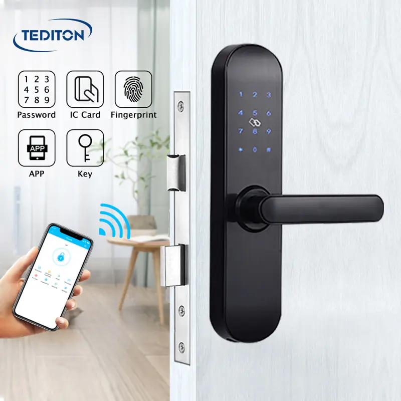 Tediton prezzo all'ingrosso allarme di sicurezza Wifi cellulare serrature digitali per porte in legno