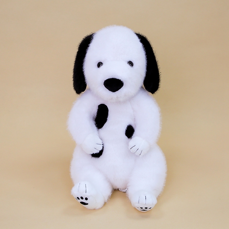 Dalmation