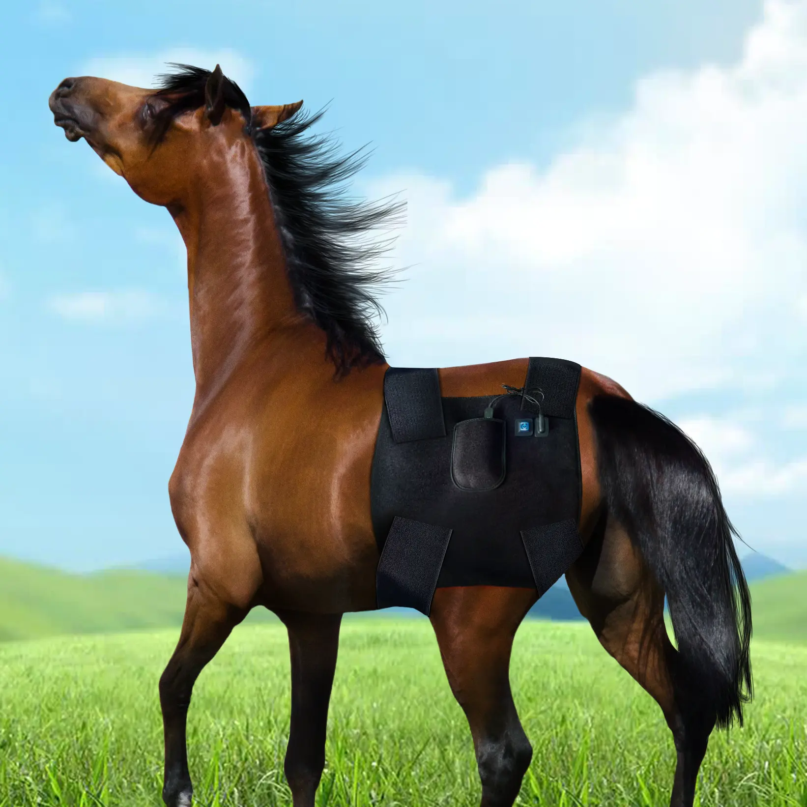 Elektrische Wrap Afslankende Flexibele Rug Led Rood Licht Infrarood Therapie Pad Taille Riem Voor Paardenpijn Lief