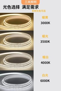 Fabrika toptan 120/240Led Smd 2835 ışık Dc12V 24V 5Mm 8Mm 10Mm Led şerit - Product Image 6