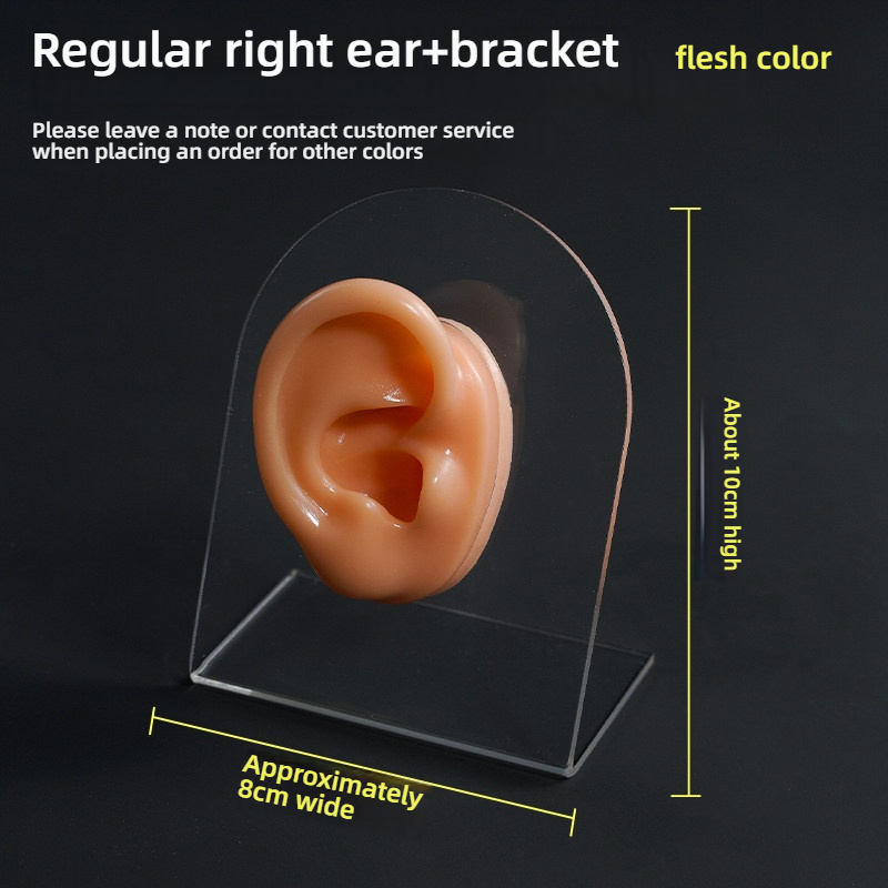 Oreille droite couleur chair conventionnelle + support