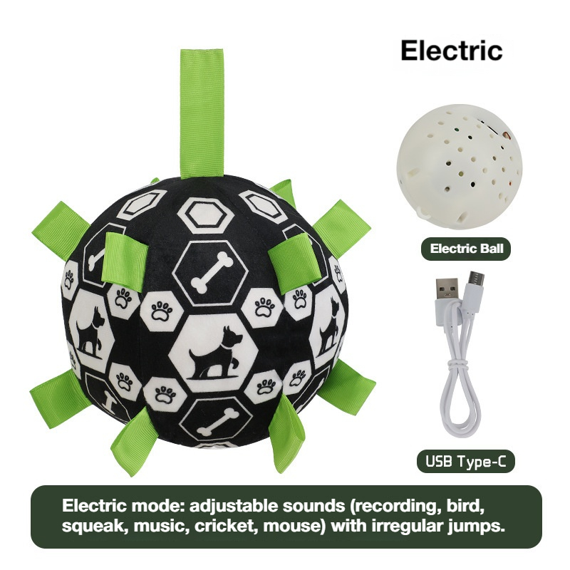 Modèle électrique