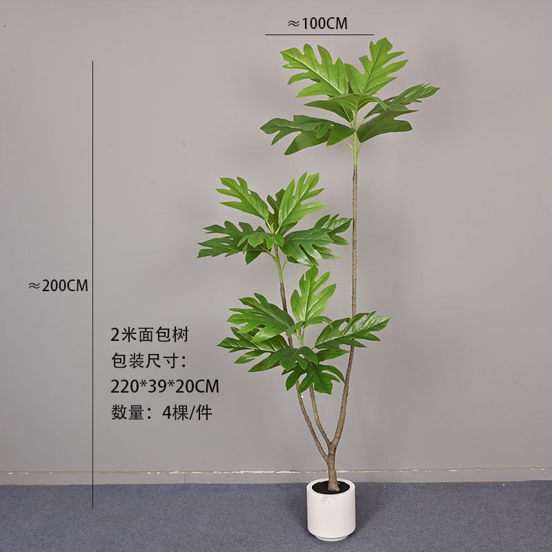 Arbre à pain de 2 mètres