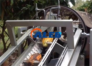 High Efficiency <strong>Cocoa</strong> <strong>Beans</strong> Sheller Peeling <strong>Machine</strong> <strong>Cocoa</strong> Pod Separating <strong>Machine</strong> - Product Image 5
