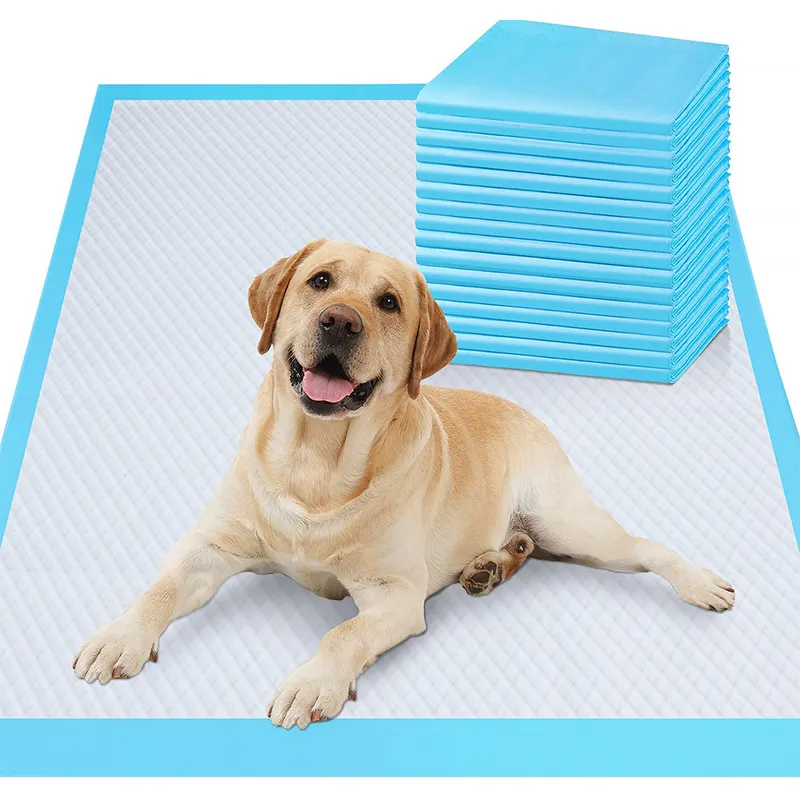 Grossistas Água Absorvente Descartável Pet Higiênico Tapetes Puppy Toilet Dog Training Pads Mats Pee Pads para cães