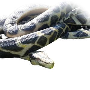 Modello di serpente artificiale modello di serpente robotico per la vendita telecomando modello di serpente in movimento - Product Image 6