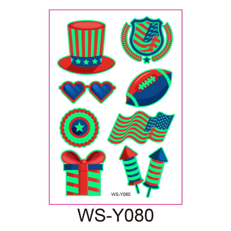 WS-Y080