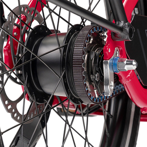 OEM 2轮货运自行车48V 250W锂电池交付家庭用货运自行车
