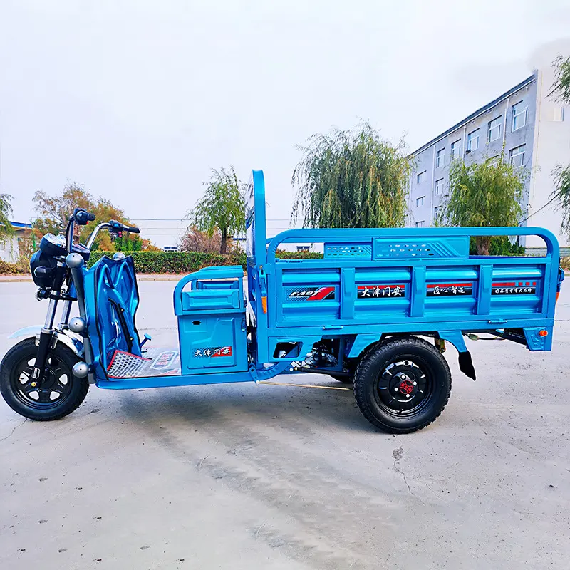 Beste Qualität elektrische Dreirad Fabrik direkt 3 Räder Dreirad Fahrrad für Passagiere und Fracht auf Lager