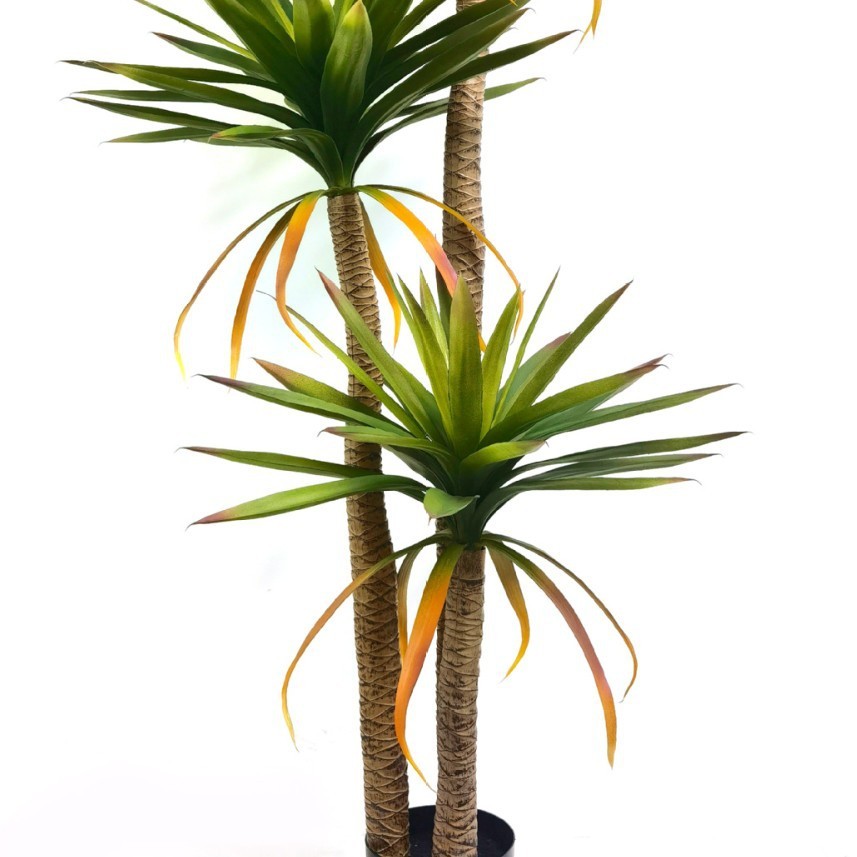 Brazilian iron-16m-plastic base pot
