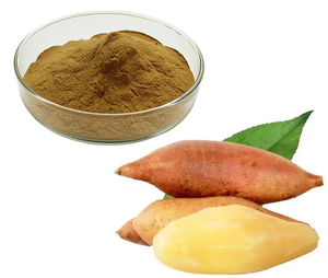 Yacon Shirley Fruit Polymnia Sonchifolia Saussurea Involucrata Fruit Extract Siroop Poeder - Product Image 5