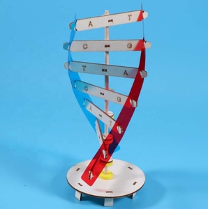Montessori blok öğrenme kaynak DNA yapısı yapboz oyuncak duyusal istifleme insan gen modeli montaj bilim oyuncak - Product Image 5