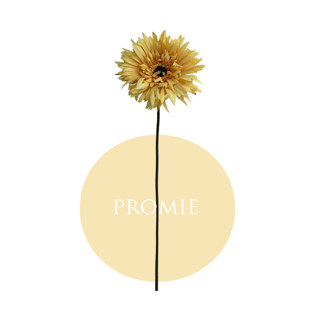 Light Yellow
