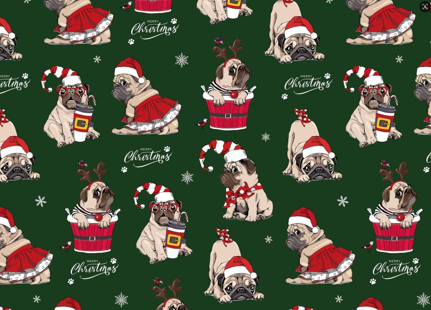 MAY-JDSD-DOG-GREEN-1R17-5M