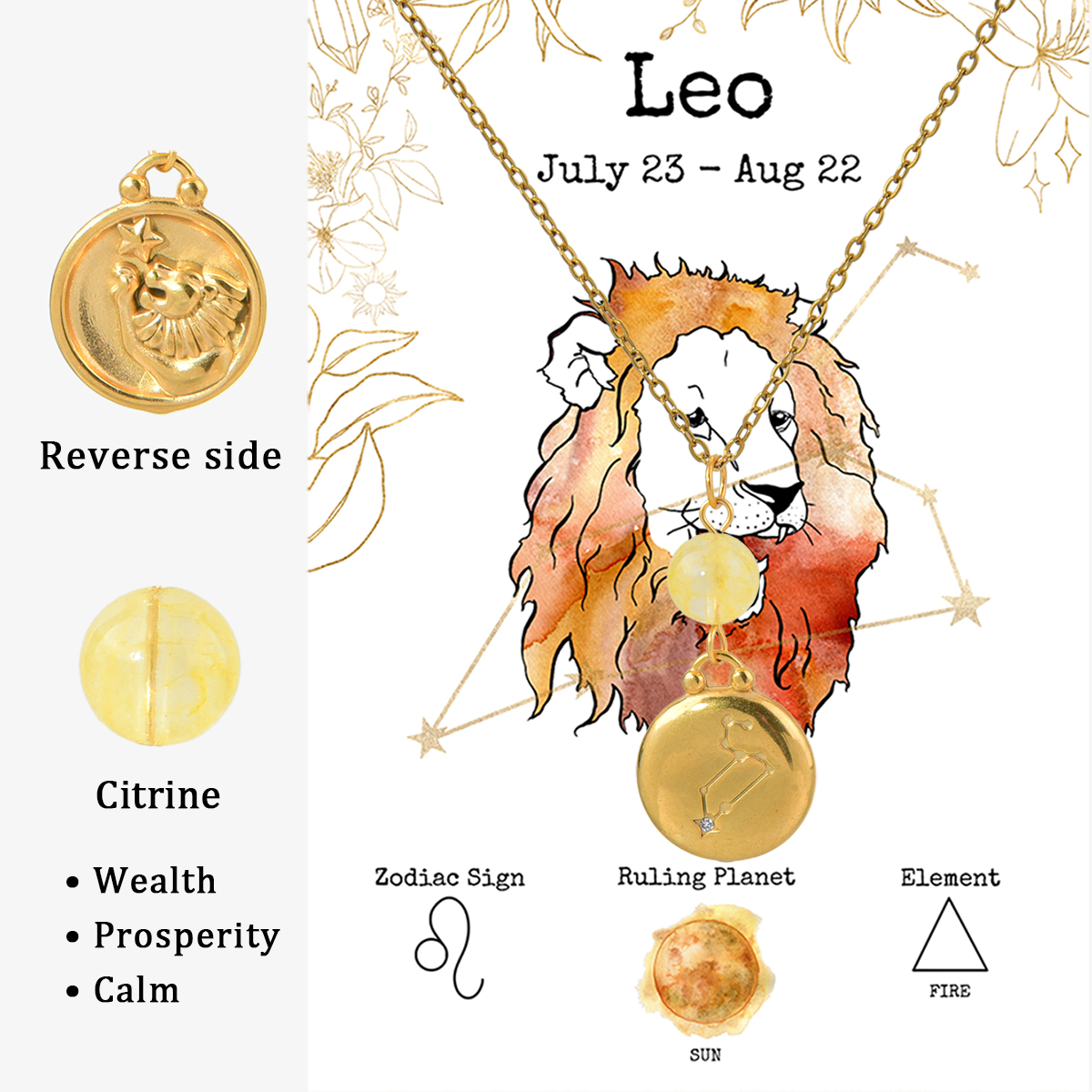 NE240212-5 Leo