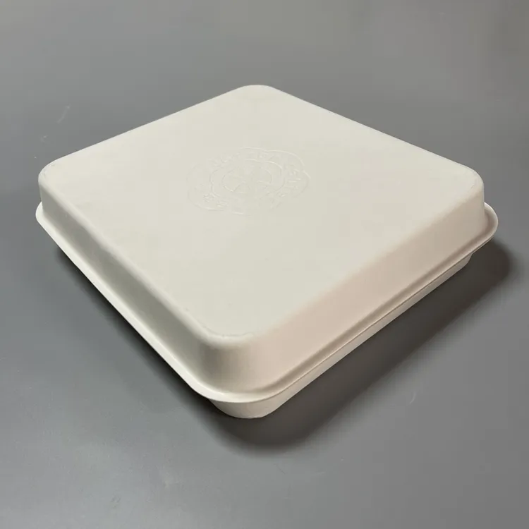 OEM/ODM Eco Friendly Bio White Dry Press imballaggio cosmetico moderno imballaggio personalizzato in scatola di cartone