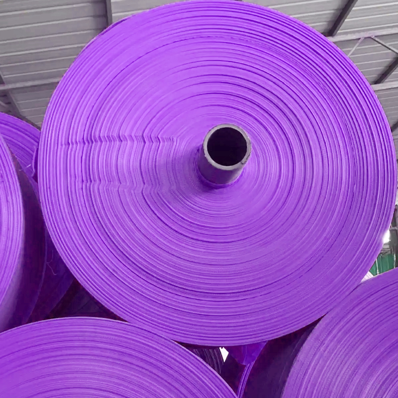 VIOLET