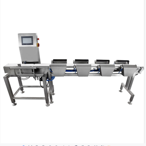 Máquina de medición automática de peso, sistema de clasificación de paquetes Dws - Product Image 2
