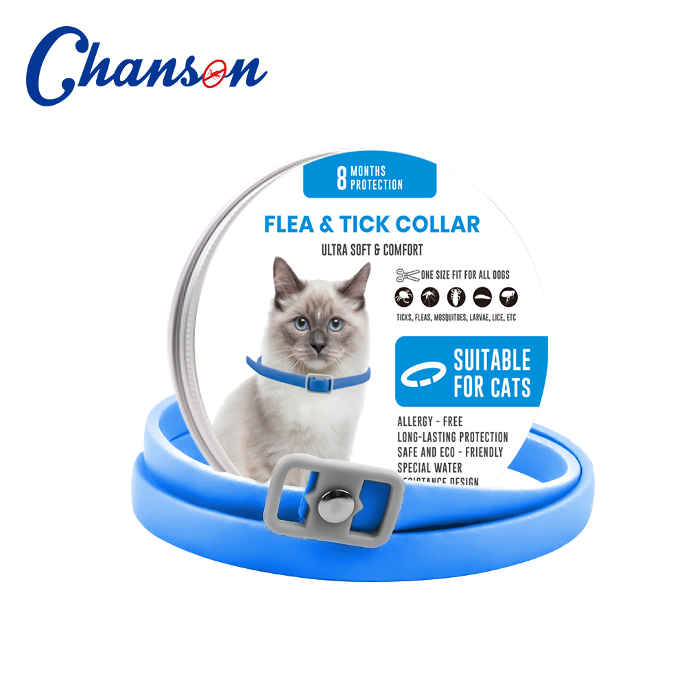 Blue Cat