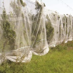 New High Quality <strong>Market</strong> HDPE protection Agriculture Insect <strong>Netting</strong> - Product Image 5