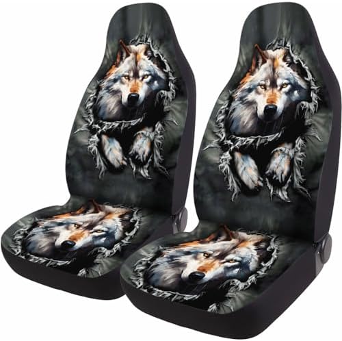02 loup gris froid