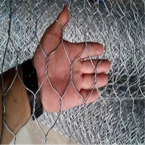 Hot Dipped Galvanized <strong>Hexagonal</strong> Mesh Fish Pot Mesh Chicken Wire <strong>Hexagonal</strong> Wire <strong>Netting</strong> - Product Image 6