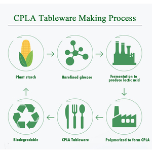 600ml Cpla Togo Box Food Plastic Custom Logo Clamshell Takeout Packing Box for Food Disposal Biodegradable Lunch Boxes - Product Image 3