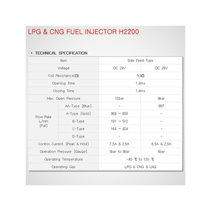 New Technology Injector Assembly Part Natural Material LPG Injector Conversion <strong>Kit</strong> H2200 LPG/ CNG Injector - Product Image 5