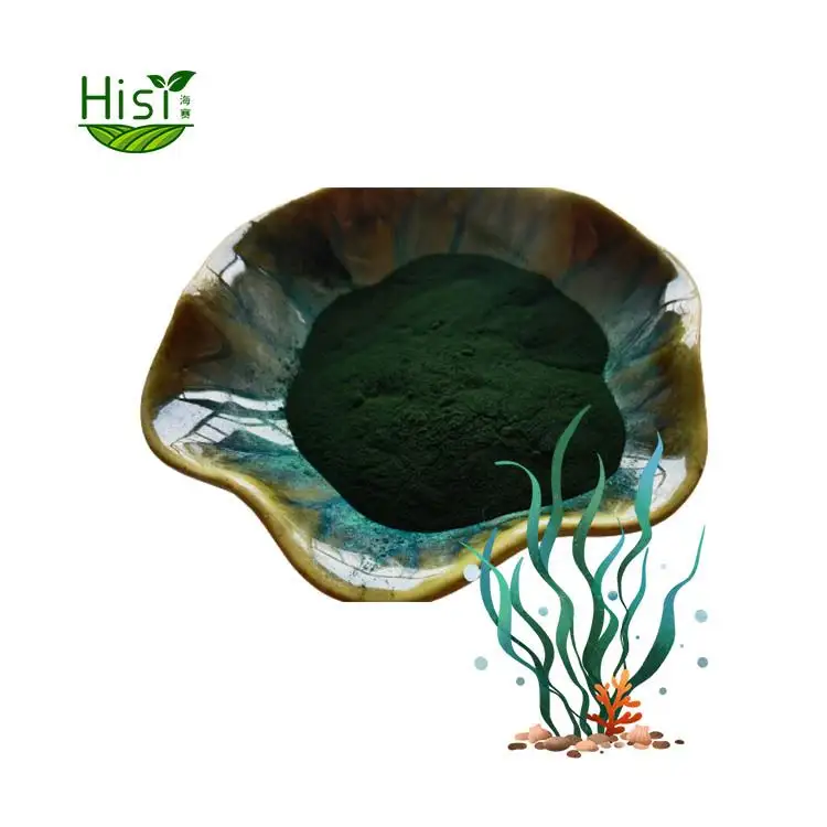 Grünes Spirulina-Pulver Organisches Phycocyanin-Pulver Hochwertiges Spirulina-Pulver Reine natürliche Spirulina