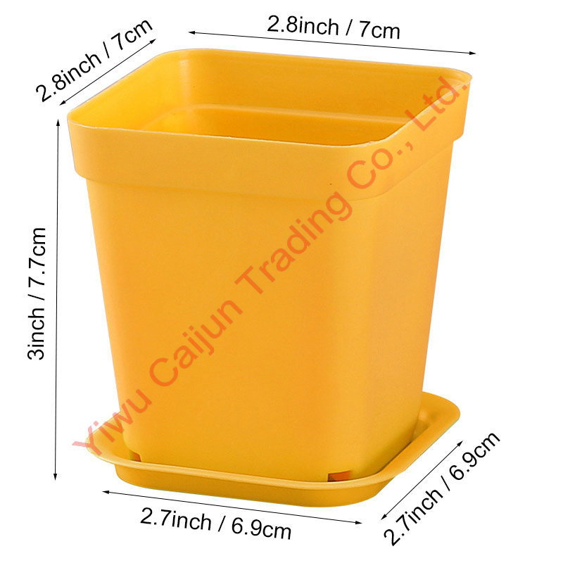 Amarillo pequeño