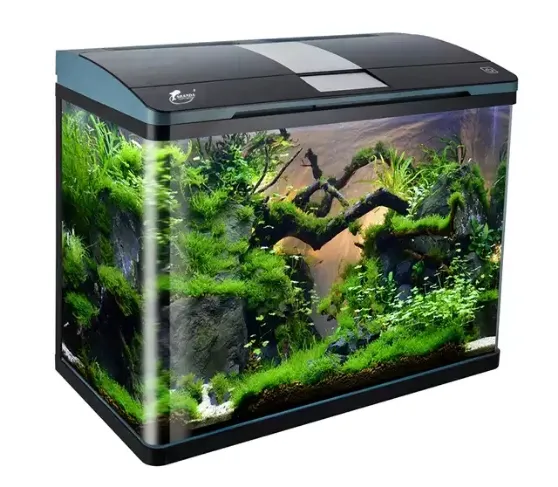 Siêu Rõ Ràng Glass Aquarium Fish Tank Với Nội Bộ Thùng Đựng Nước Thải Dưới Lọc