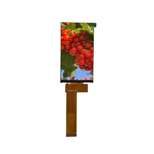 5,0 дюймов GC9503CV пропускающий TFT дисплей ЖК-модуль с RGB SPI FPC соединение - Product Image 1
