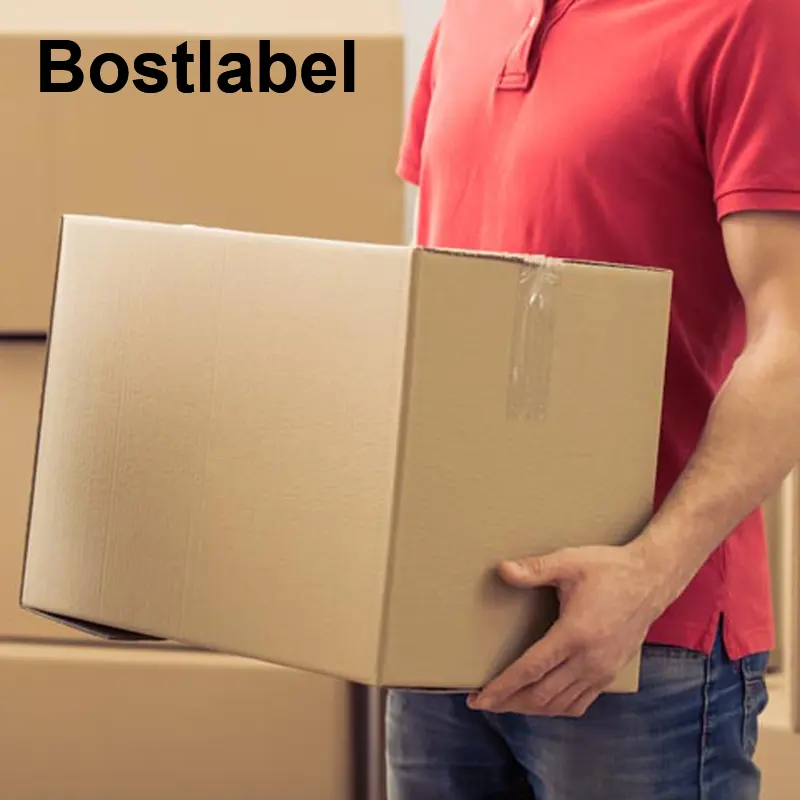 Bostlabel 제조업체 사용자 정의 로고 재활용 종이 판지 인쇄 우편 포장 배달 배송 골판지 상자