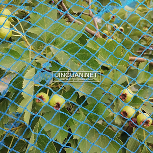 ตาข่ายป้องกันนกใช้เพื่อปกป้องพืชและสวนผลไม้จากความเสียหายของนกได้ง่ายลบและนำกลับมาใช้ใหม่ได้อย่างทนทาน - Product Image 4
