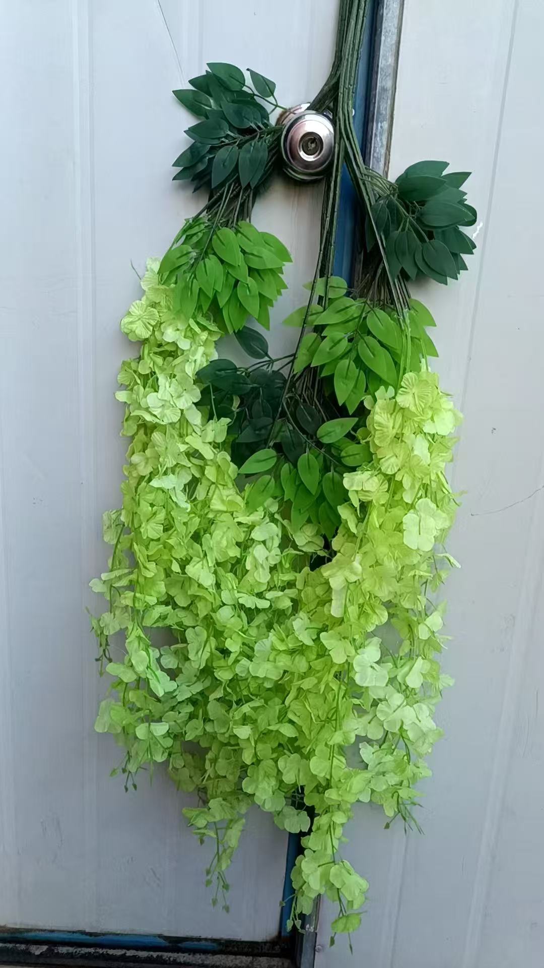 Vert