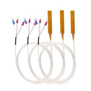 50-250C High Accuracy Germany Heraeus Class <strong>a</strong> PT100 RTD <strong>Temperature</strong> <strong>Sensor</strong> 4*60mm PT100 <strong>Temperature</strong> <strong>Sensor</strong> With Lead Wire - Product Image 5
