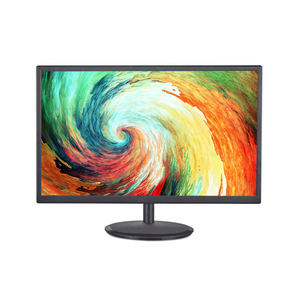 Monitor de ordenador con pantalla LCD de 19 pulgadas