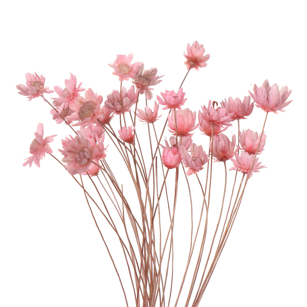 Mazzo rosa da 30 pezzi