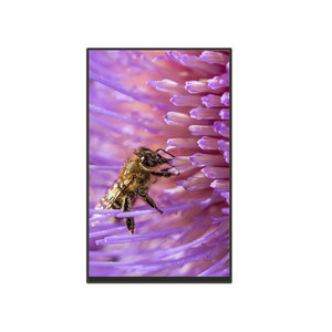 Módulo de pantalla LCD TFT IPS de 10,1 pulgadas personalizado con resolución 800*1280 Interfaz MIPI de 31 pines Módulo de pantalla LCD a color de 10,1 pulgadas