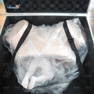 Mô hình đào tạo hộ sinh mô phỏng Giải phẫu mô hình đào tạo kỹ năng sinh nở xương chậu nữ mô hình đào tạo hộ sinh - Product Image 5