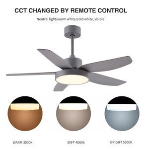 Động Cơ Đồng Năm Cánh Quạt Abs Quạt Đèn Chùm Trần Led Trang Trí Trong Nhà Thiết Kế Đơn Giản Điều Khiển Từ Xa Với - Product Image 5