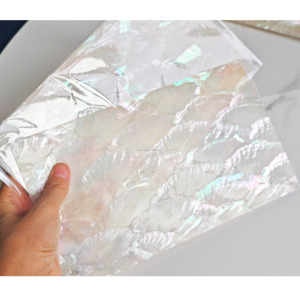 แผ่นเปลือกหอยเป๋าฮื้อธรรมชาติเปลือกหอยสำหรับเครื่องดนตรี - Product Image 1